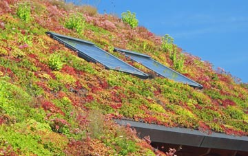 New Hall Hey living roof systems